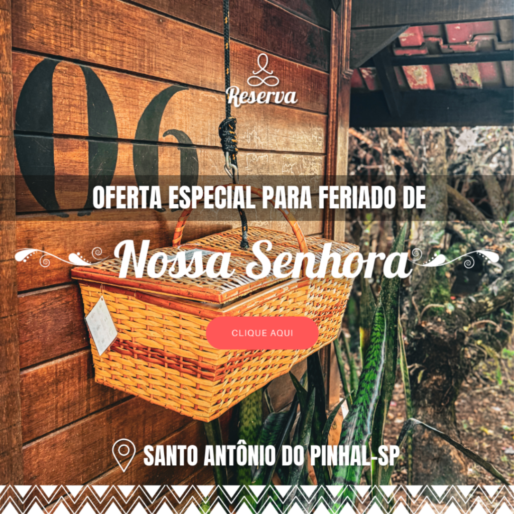 promocao-imagem-488-qmaTiy1U6y