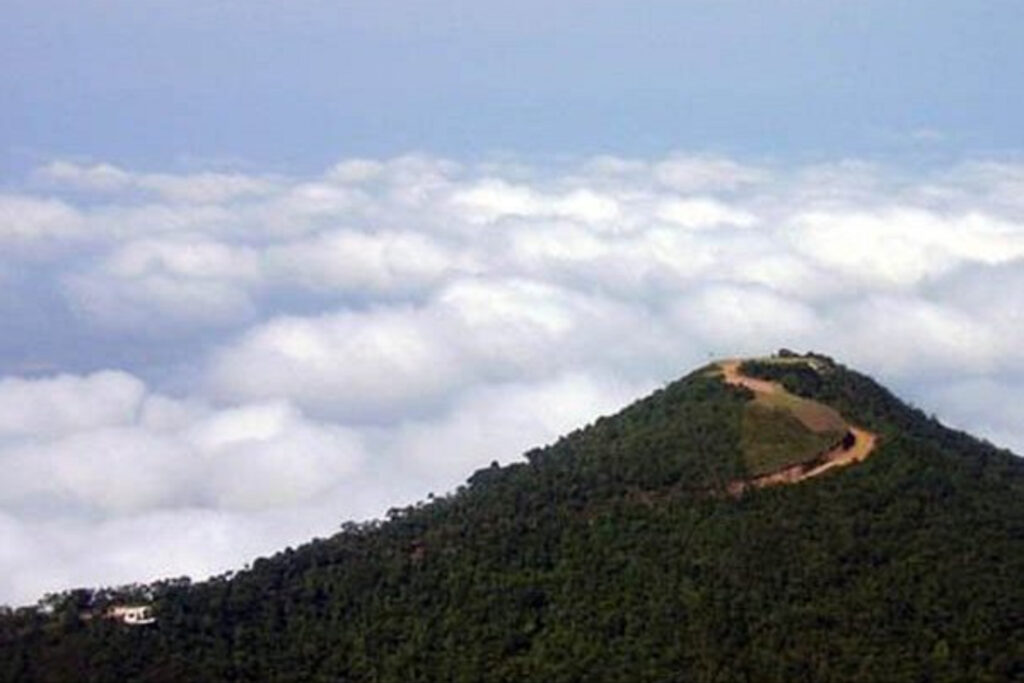 post-imagem-capa-542-KFaDPNla5o